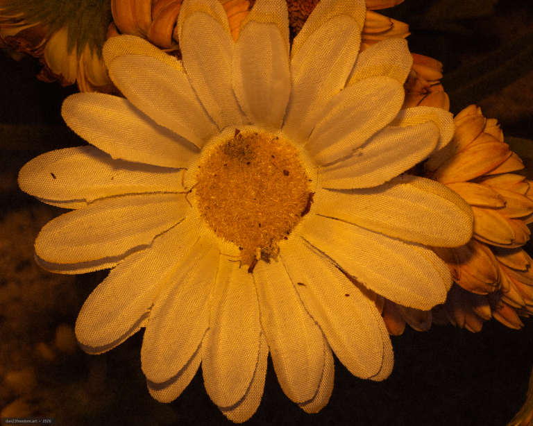 Macro photograph of an artificial daisy with pale woven fabric petals and a dense golden synthetic centre. Orange and cream fabric flowers overlap in the dark background.