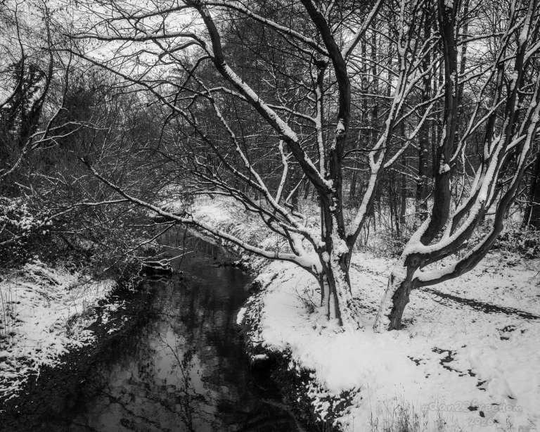 A quiet winter reverie where snow, water, and bare trees compose a tranquil symphony. — Trees dream in white coats,     Streams sing silent lullabies.