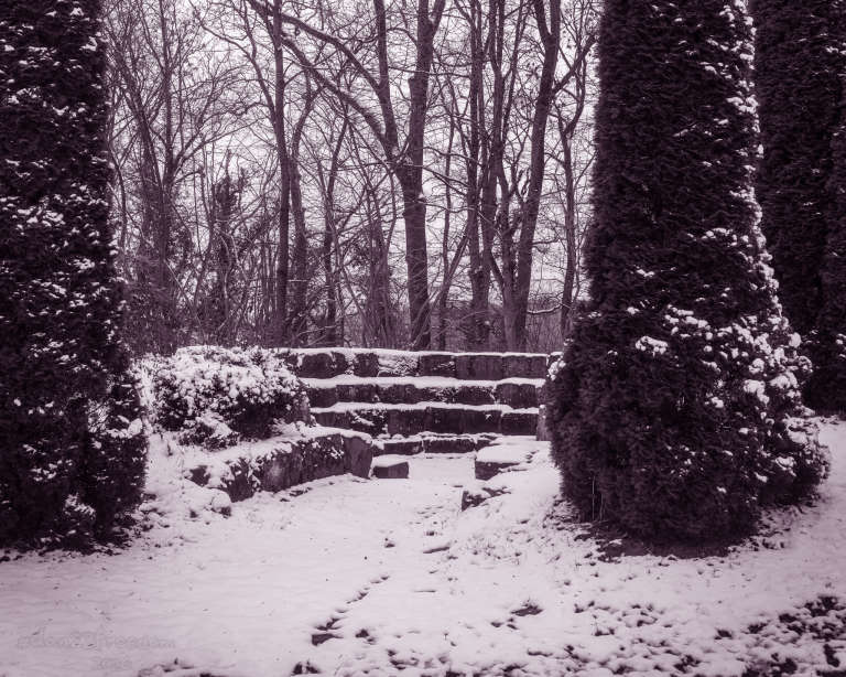 A magical winter meeting place where nature’s creatures convene beneath snow’s quiet spell.