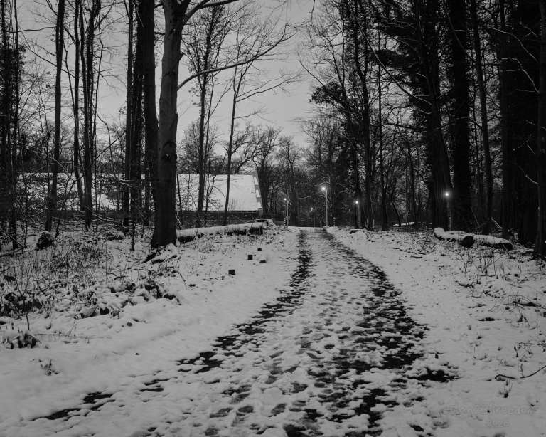 The snow lay still, the lamps aglow,   A path of prints in twilight’s flow.  Where the light fades, the forest listens. Step gently — the path remembers.