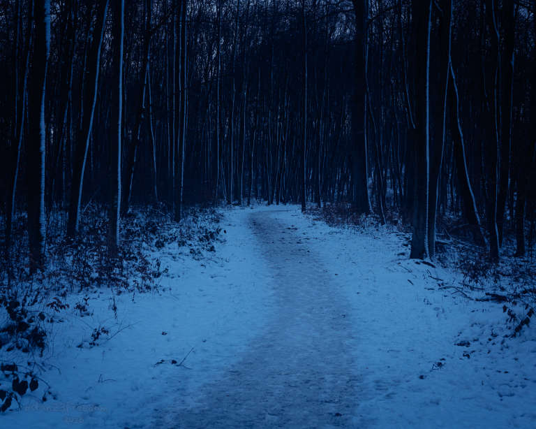 A snow-covered path winds through a dense forest of bare trees during twilight, creating a serene and slightly eerie winter scene. — Snow falls like forgotten thoughts,     The path forgets where it leads.
