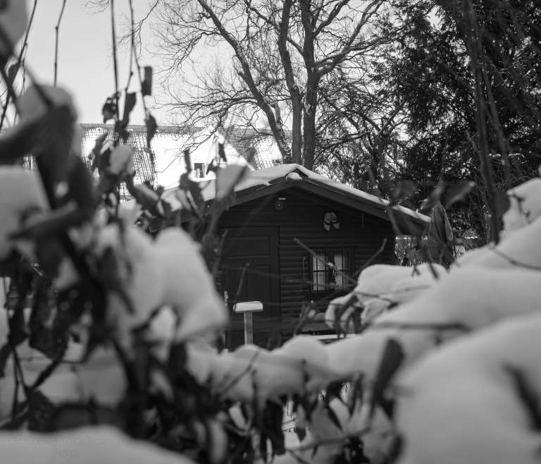 A small garden hut seen through a snow-covered fence and branches, softly framed by winter foliage. — The hut tucked shoes beneath its snowy crown,   And watched the neighbourhood search up and down.