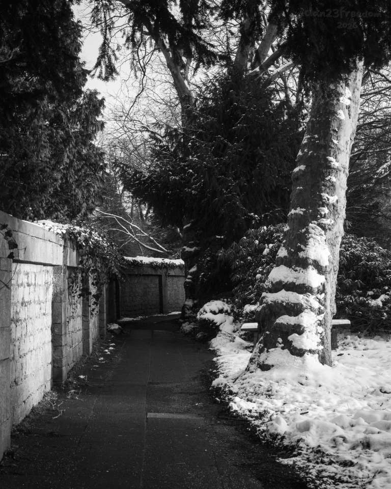 A narrow path curves gently to the left, bordered by a stone wall on one side and snow-covered trees on the other. The snow is partially cleared, revealing the texture of the path beneath. Tall trees loom overhead, their trunks dark against the white ground. The image invites the viewer to imagine what lies beyond the bend, using snow, shadow, and framing to evoke curiosity and quiet suspense. The bench, half-hidden, adds a whisper of presence.