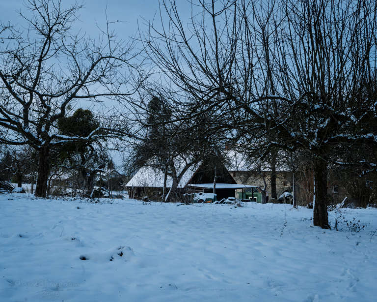 A snow-covered rural landscape with leafless trees and a cluster of buildings, including a dark, mysterious building partially obscured by trees. — Dark walls keep their secrets close, As squirrels watch their acorn shows