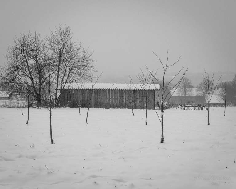 A quiet, minimalist winter scene where a humble rural shed stands quietly amid a snowy field, embodying serene simplicity.