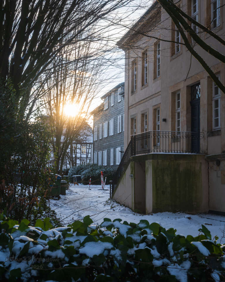 Snow-covered buildings glow softly in low winter sun, seen from behind through a bush and leafless trees. The scene feels quiet and intimate, as if the architecture is resting in the light. — The bush watched. The buildings didn’t mind.