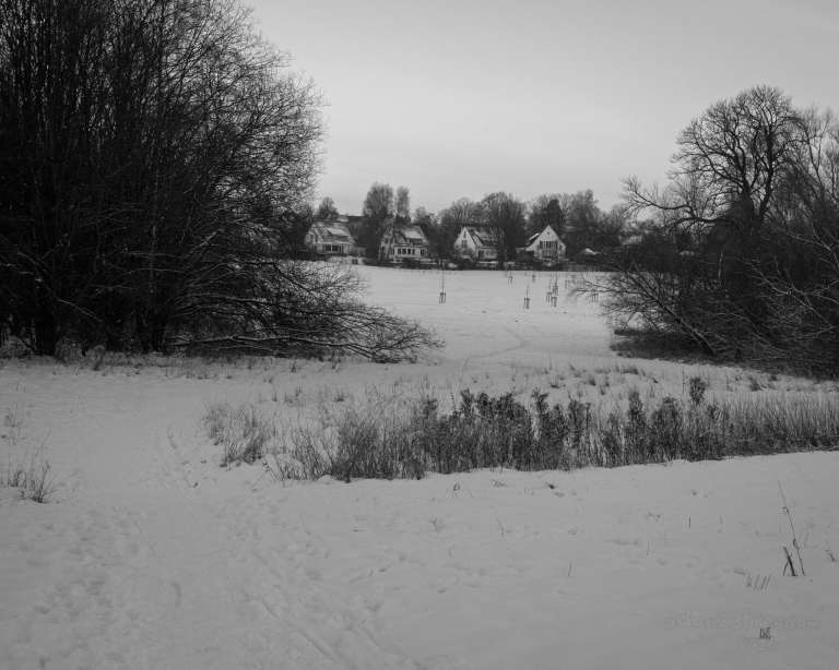 A snow-covered field dotted with young trees and faint tracks, bordered by leafless trees and distant rooftops. The light is low, suggesting twilight — a quiet walk through memory before the dark.