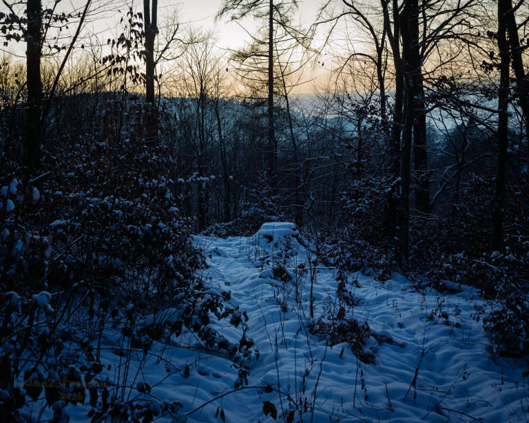 A snow-covered tree stump sits on a forest path at dusk, surrounded by bare trees and soft light. — The stump didn’t speak. It didn’t need to. The forest already knew what had happened.