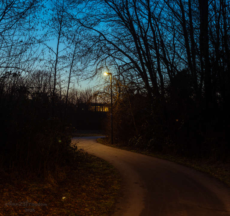 A winding forest path curves through bare trees under a deep blue sky. A streetlamp casts warm light on the walkway, while a distant building glows softly through the branches. — The path bent soft beneath the trees,   The lamp held still, content to please.