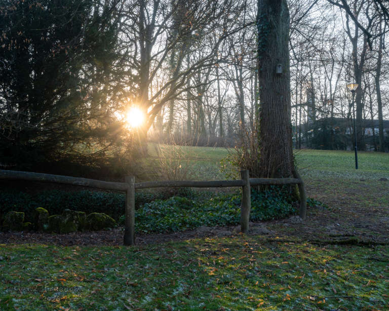 Warm evening light filters through trees in a quiet park garden. A birdhouse clings to a tree, a wooden fence frames the foreground, and the scene feels gently illuminated — as if the sun is saying goodbye softly.