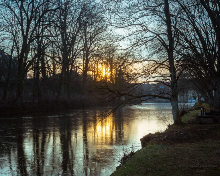 A river meanders along a city trail, bordered by leafless trees reaching skyward like silent signals. The warm glow of sunset bathes the water in golden hues, outlining the trees in shadow. Gentle ripples reflect the landscape, while distant buildings stand quietly. The scene invites calm and reflection.