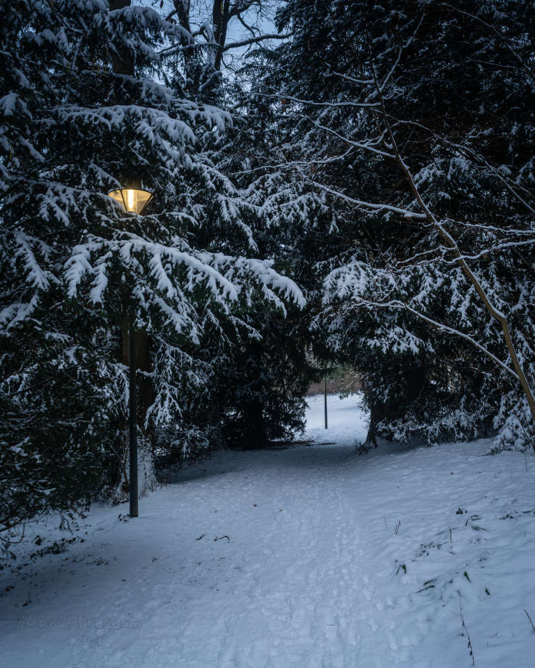 A snow-covered path winds through a forested park, lit by warm streetlamps. Footprints curve gently through the snow. The scene feels peaceful and cosy — a quiet walk through twilight. — The snow muffles sound, the lamp offer warmth, and the trees lean in like quiet companions. The footprints suggest presence without intrusion.