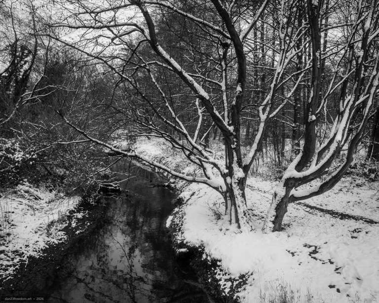 Black-and-white winter landscape with a winding stream, snow-covered banks and reflections of bare trees in the water.