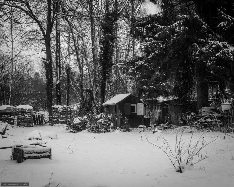 Black-and-white winter photograph of a small garden hut surrounded by stacked firewood, leafless plants and snow-covered ground.