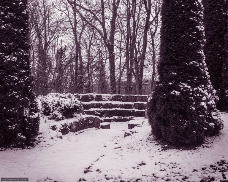 Purple-tinted winter photograph of snow-covered stone steps surrounded by evergreen and leafless trees.