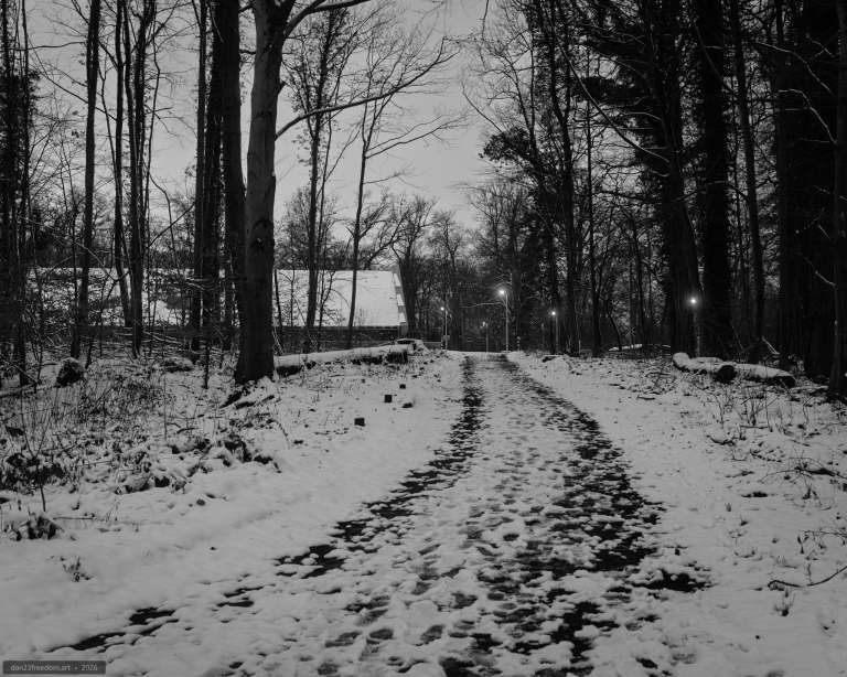 Black-and-white photograph of a snow-covered forest path with footprints, bare trees and softly glowing street lamps at dusk.