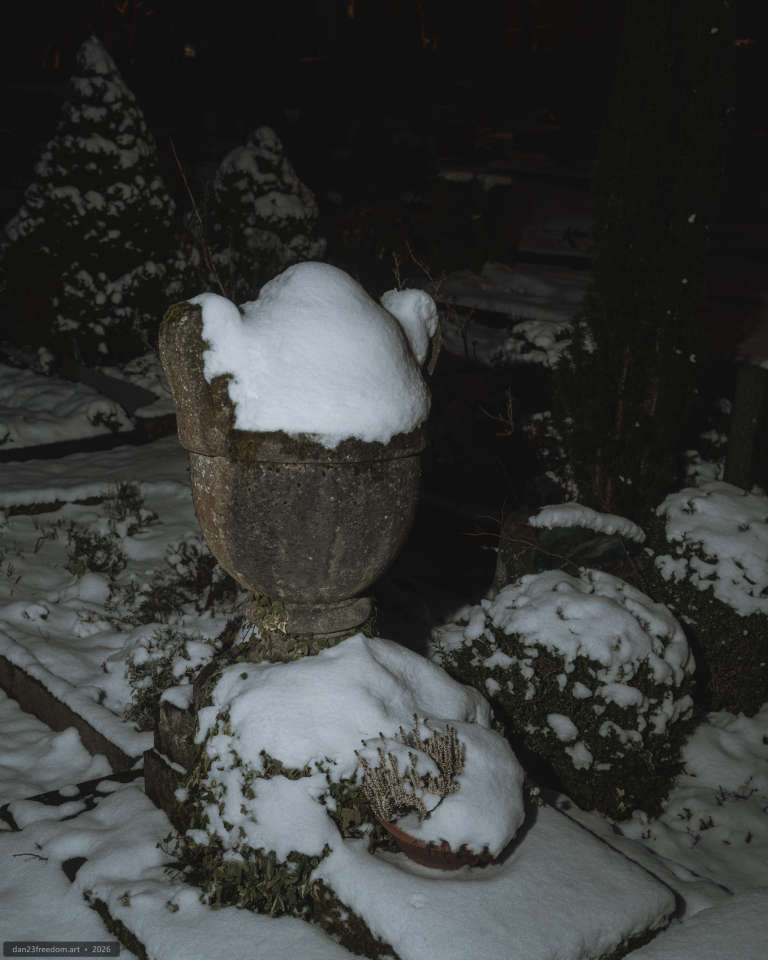 Black-and-white night photograph of a snow-covered stone urn on a pedestal, surrounded by snowy shrubs and plants.