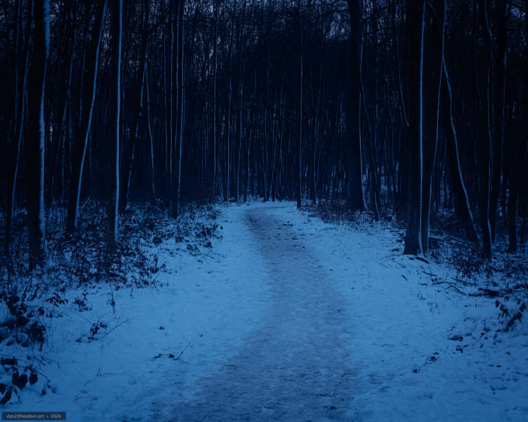 A snow-covered path winding through a dense forest of bare trees in fading twilight.