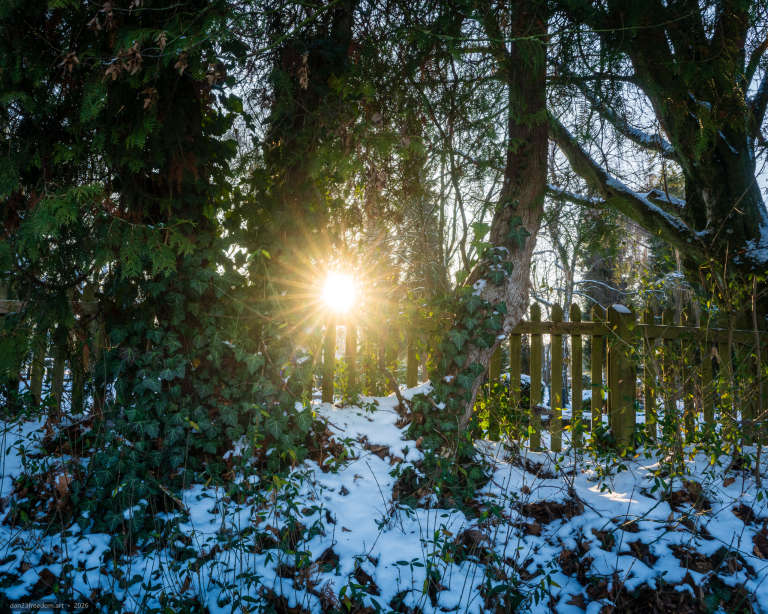 A low winter sun creates a starburst through a snow-covered cemetery fence.