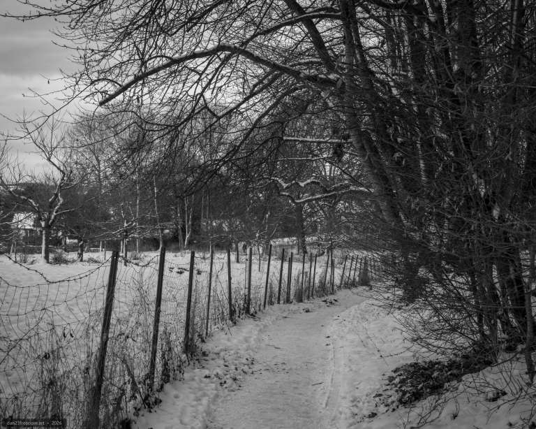 Black-and-white photograph of a snow-covered rural trail bordered by a wire fence and bare trees at twilight.