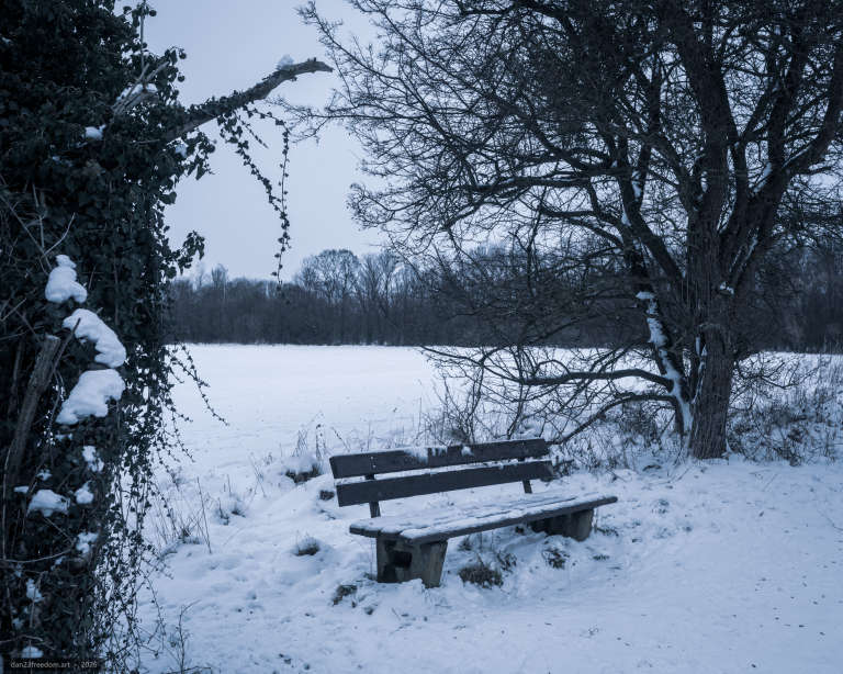 A snow-covered bench beneath a large bare tree, surrounded by snowy ground, leafless vegetation and distant trees.