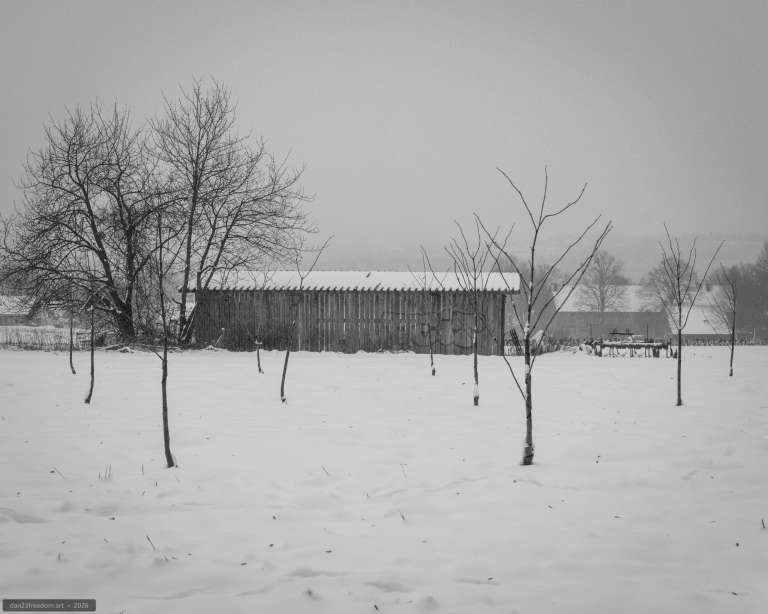 Black-and-white photograph of a wooden shed and bare trees in a snow-covered rural field with a misty background.