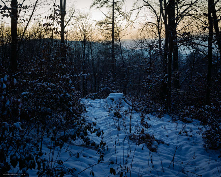 A snow-covered tree stump beside a winter forest path at dusk, surrounded by bare trees and soft fading light.