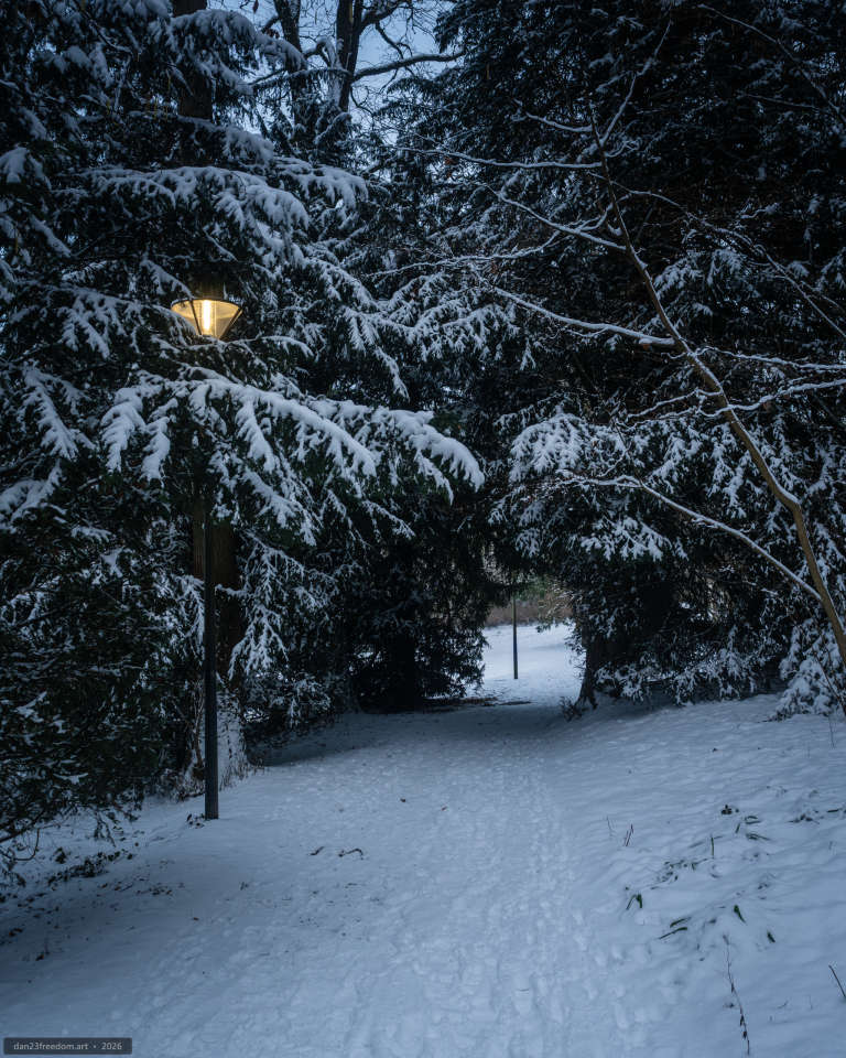 A snow-covered path winding through a wooded park at twilight, illuminated by warm streetlamps and marked by curving footprints.