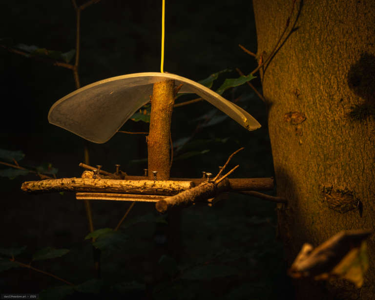 A small handmade platform of branches and wood is attached to a tree beneath a curved translucent cover, illuminated against dark woodland.