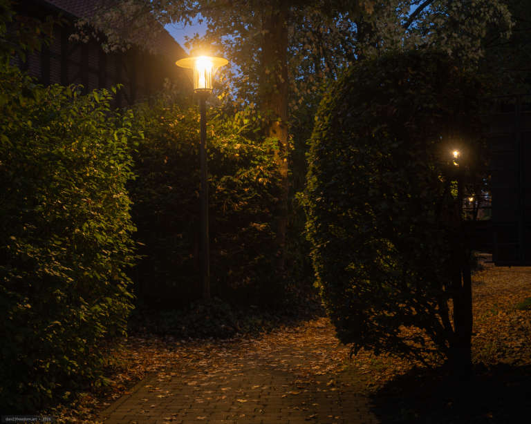 A retro-styled lamp illuminates a paved path surrounded by dense trees and shrubs at twilight. Fallen leaves cover parts of the path, and a second glowing lamp is visible farther away.