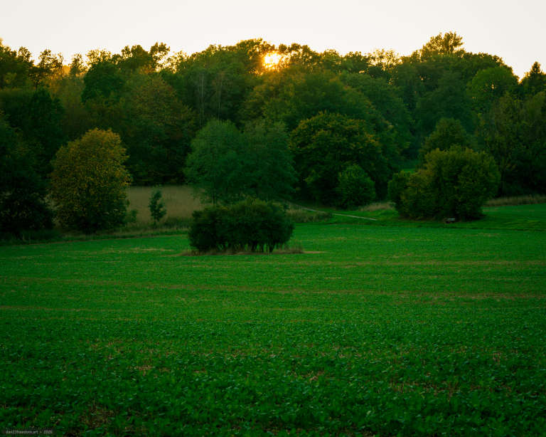 A green field leads towards dense woodland, with the low sun shining through the treetops near the centre. A narrow path curves along the forest edge, and a small bench stands beneath the trees on the right.