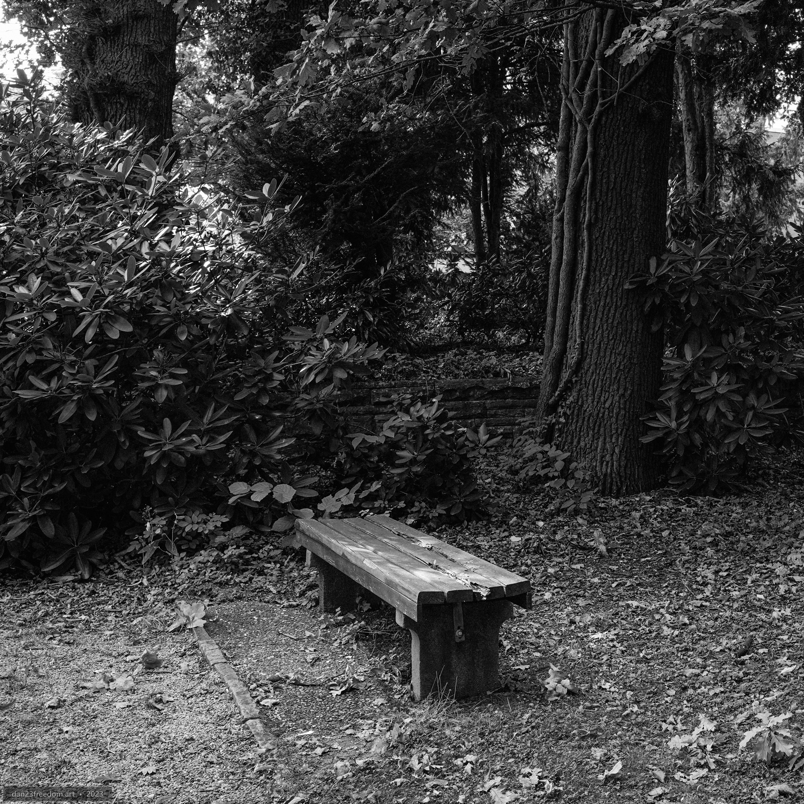 [2023] [10] Benches, Blooms and Turning Light - dan23freedom.art