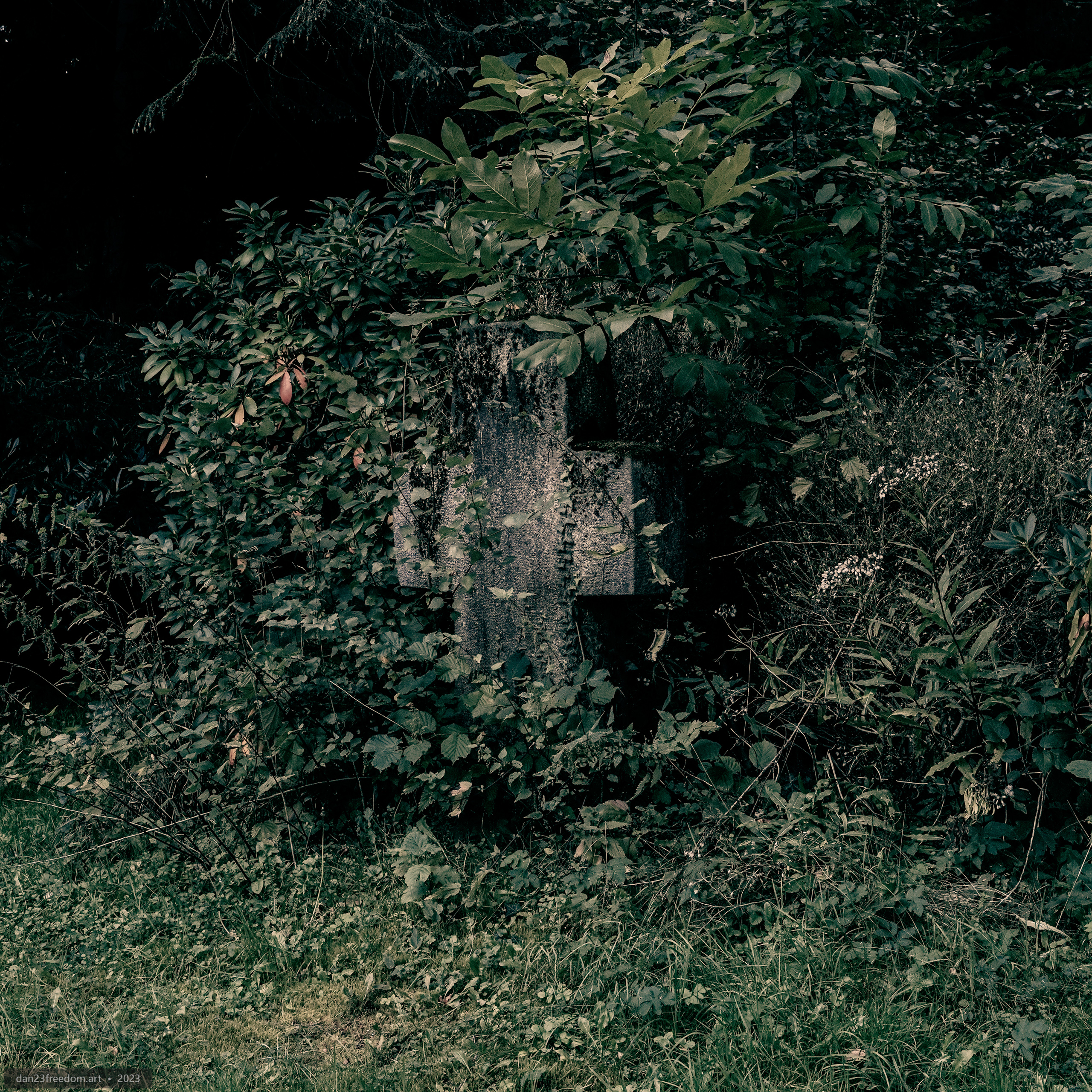 [2023] [10] Benches, Blooms and Turning Light - dan23freedom.art
